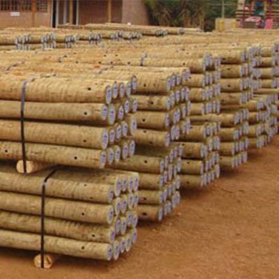 Toras de eucalipto tratado selecionadas com garantia de qualidade