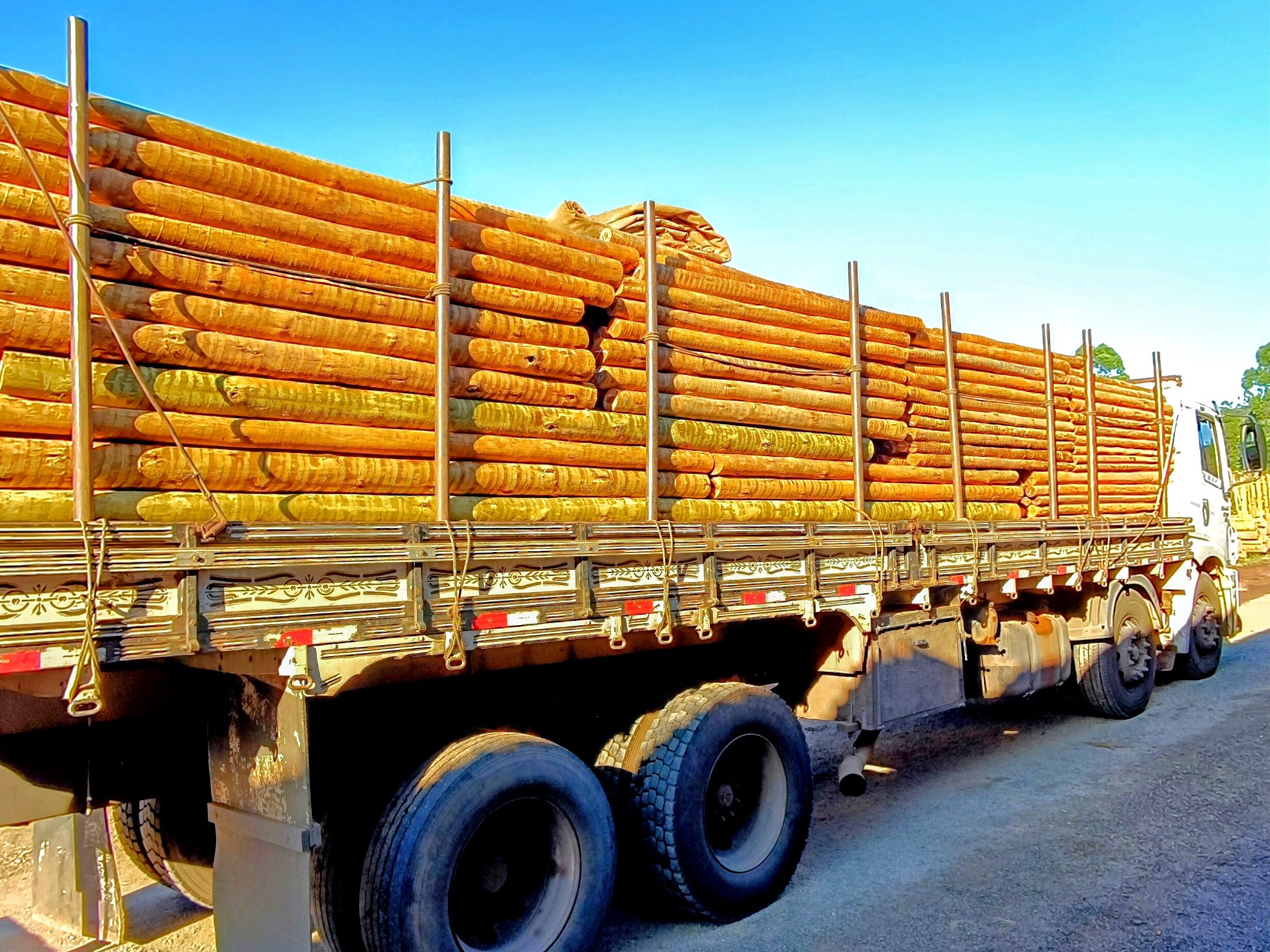 Carregamento de postes de eucalipto tratado com garantia de qualidade