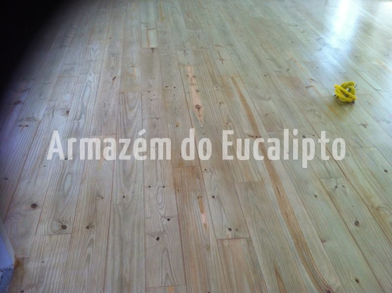 Pinus Tratado - Armazém do Eucalipto