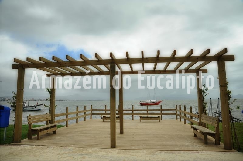Pinus Tratado - Armazém do Eucalipto