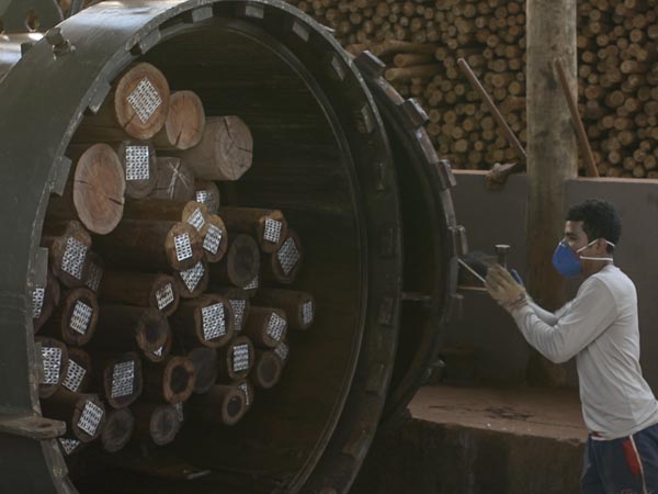 Cilindro de autoclave industrial para tratamento de eucalipto e pinus