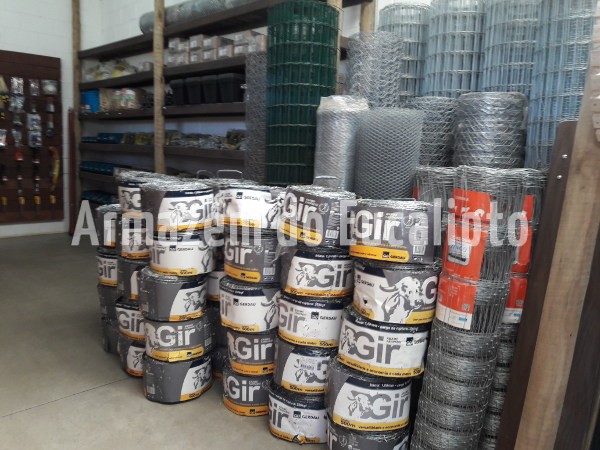 Cerca de Eucalipto Tratado