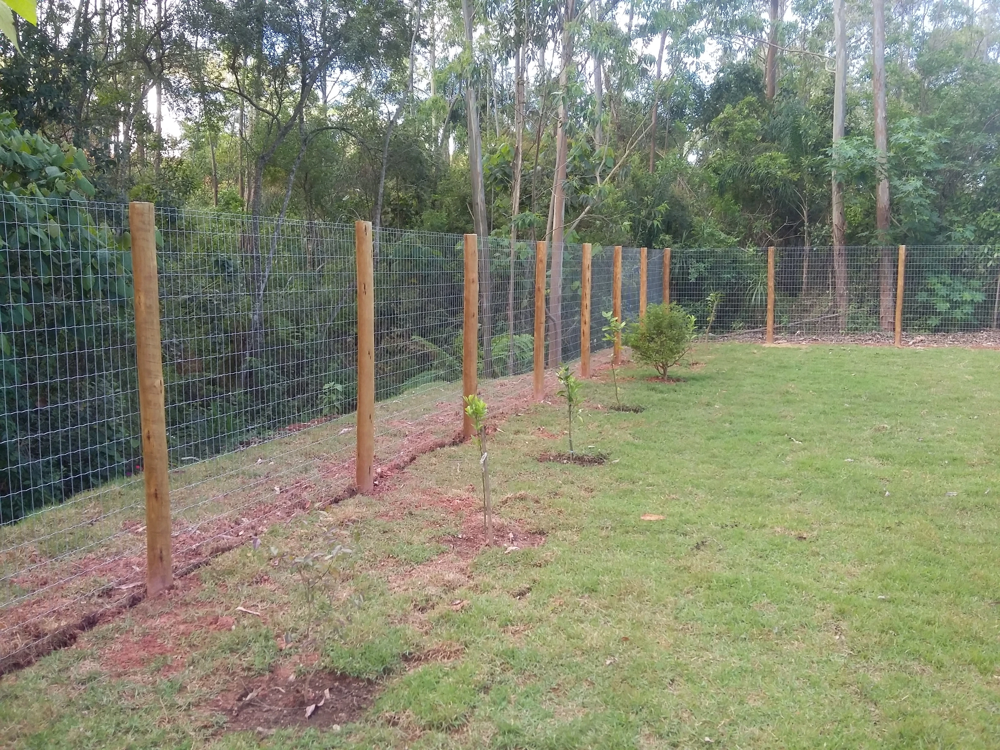 Foto de cerca feita de eucalipto tratado de alta durabilidade.