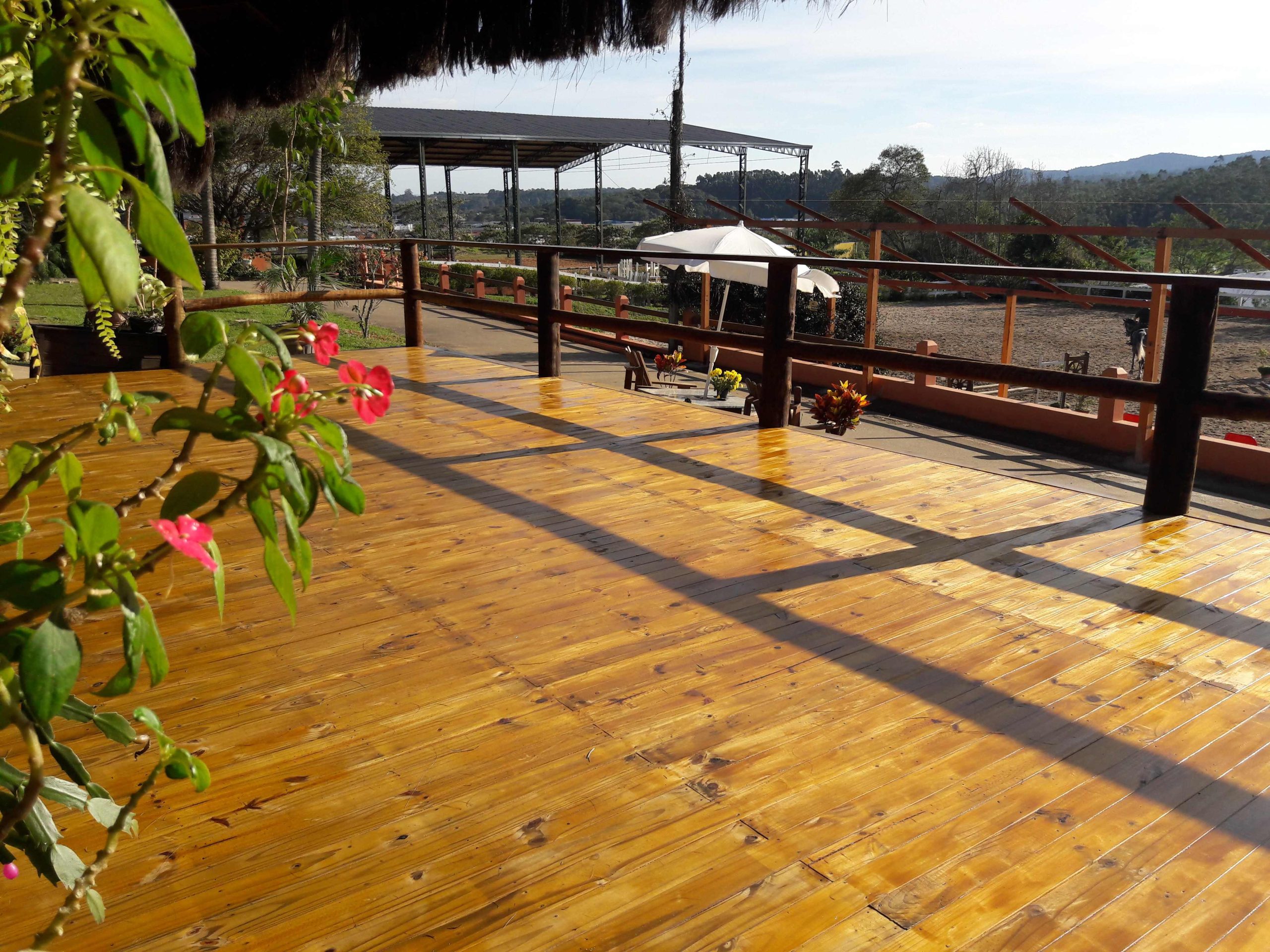 Deck de pinus finalizado com polideck realçando a beleza natural da madeira