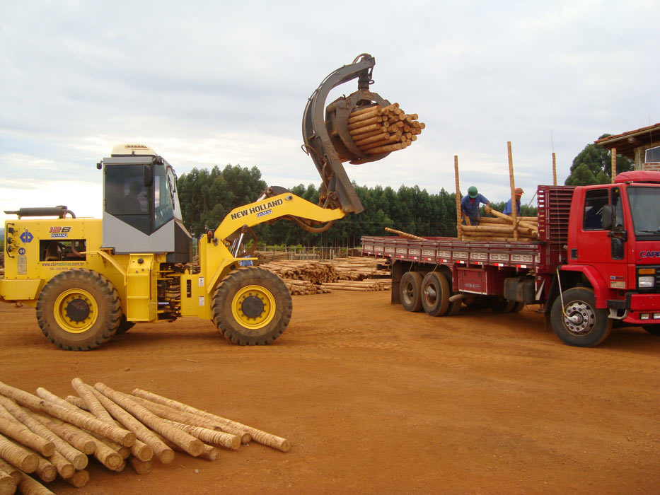 Eucalipto Tratado - Armazém do Eucalipto
