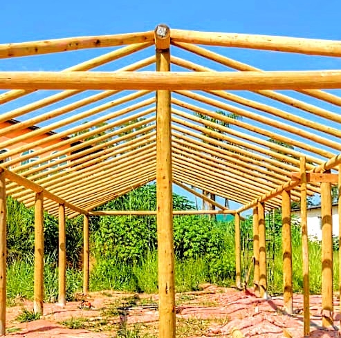 Estrutura de telhado construída com eucalipto tratado de alta qualidade - Armazém do Eucalipto