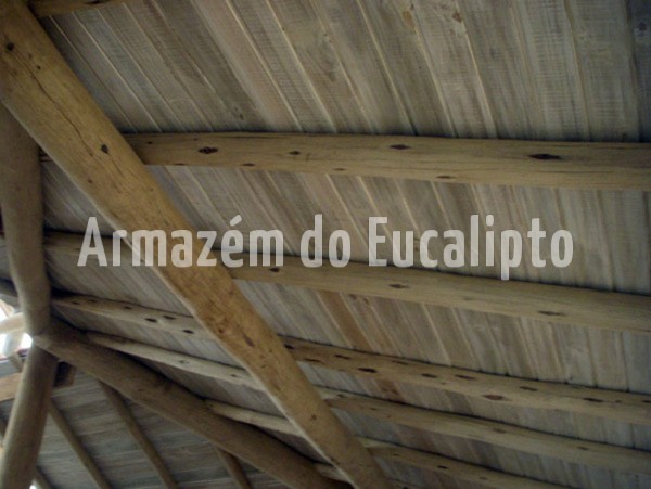 Forro de Pinus Tratado