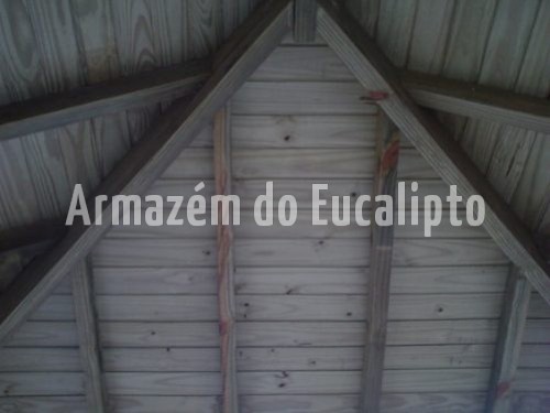 Forro de Pinus Tratado