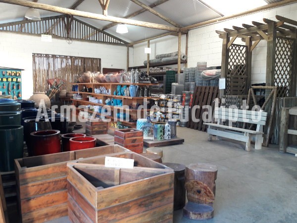 Loja Armazém do Eucalipto