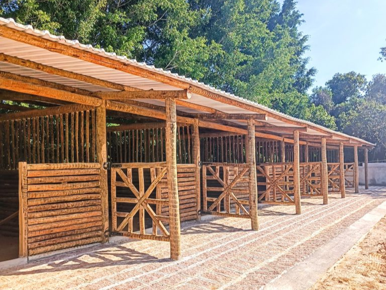 Detalhe de porteiras em madeira de eucalipto tratado selecionado para haras