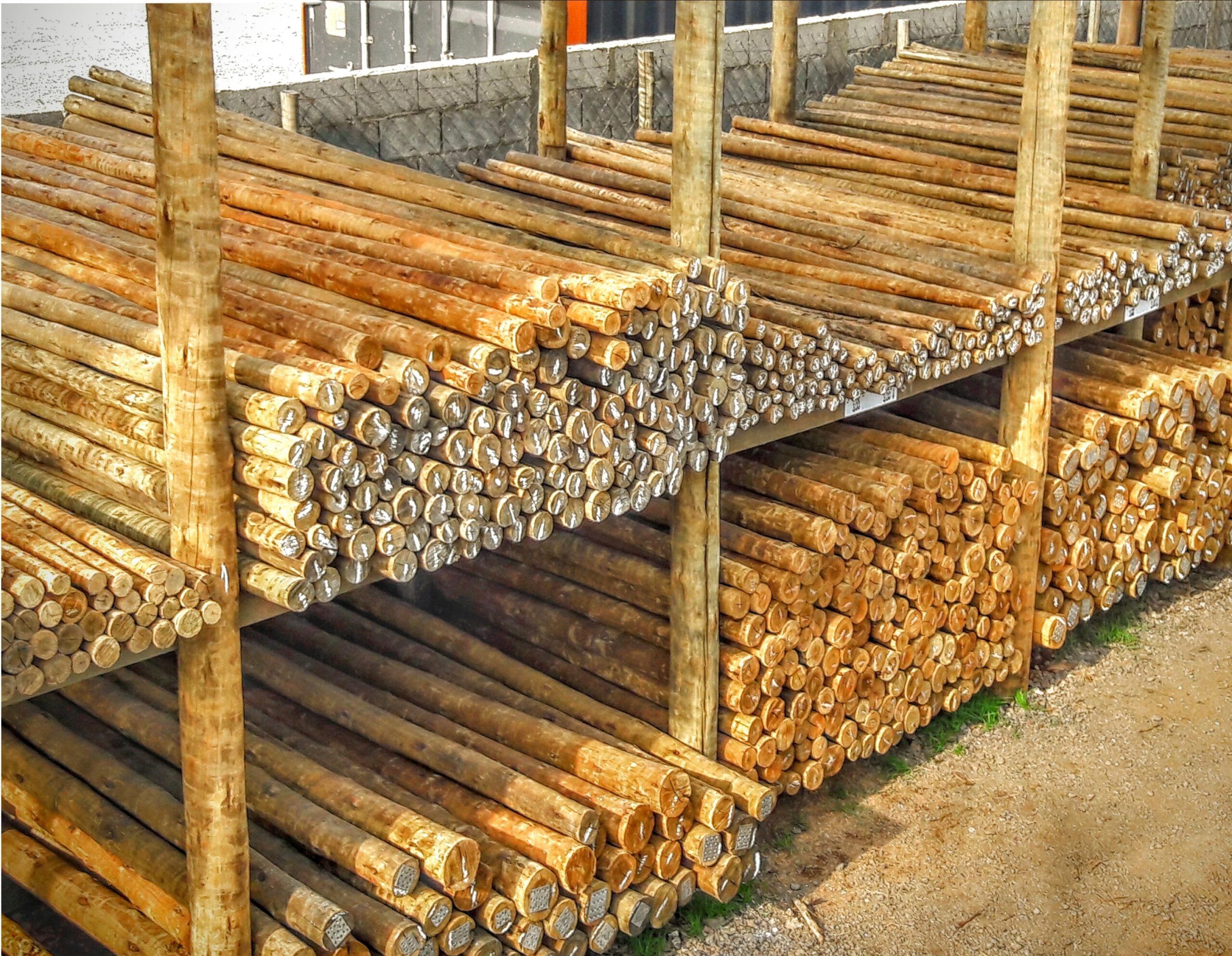 Estoque selecionado de eucalipto tratado do Armazém do Eucalipto