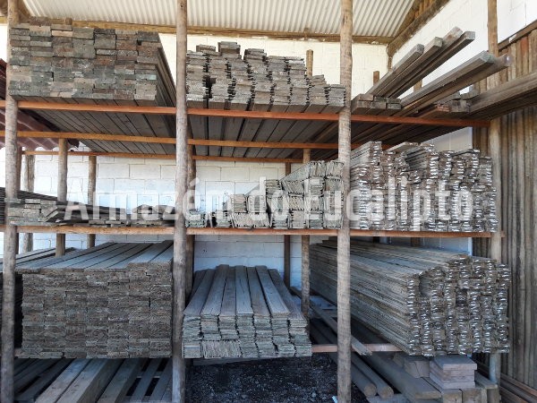 Eucalipto Tratado e Pinus Tratado