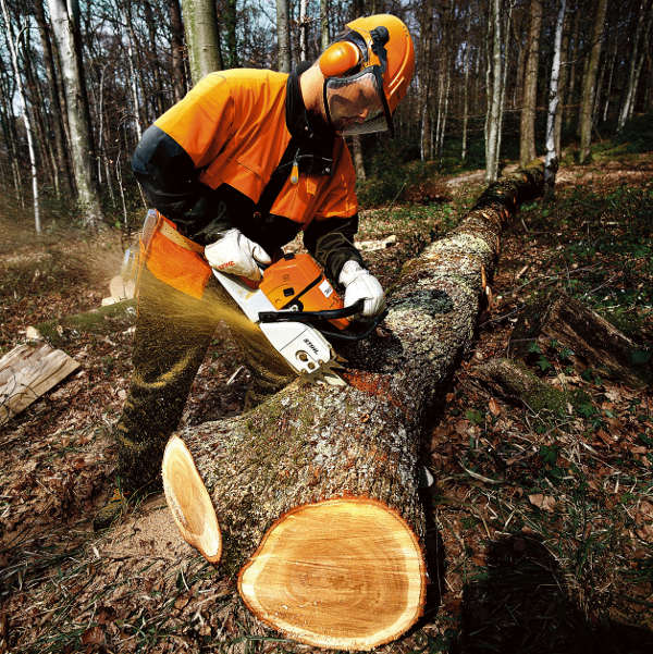 Motosserra STIHL a Gasolina