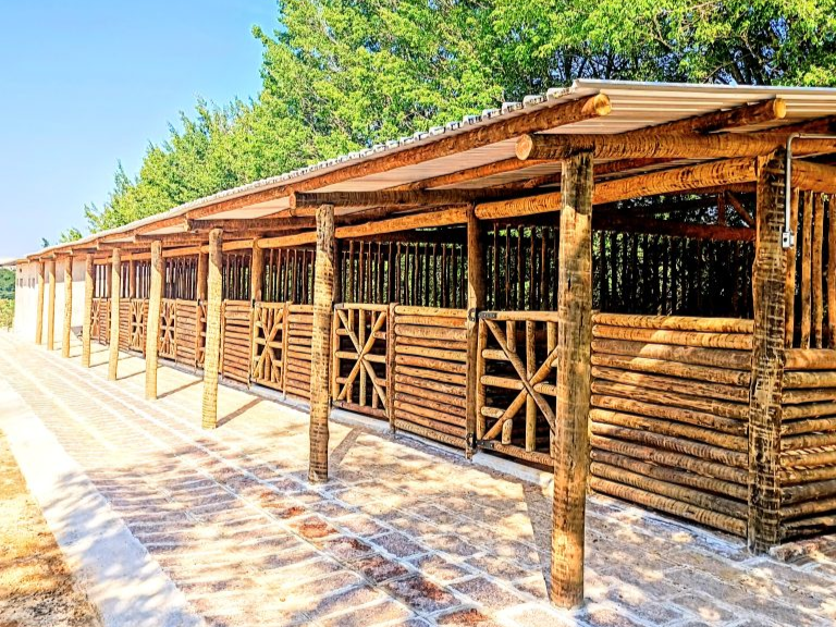 Cocheiras em eucalipto tratado com estrutura de madeira roliça e telha termoacústica