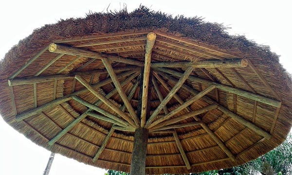 Exemplo de cobertura em sapé demonstrando a diferença de textura e acabamento