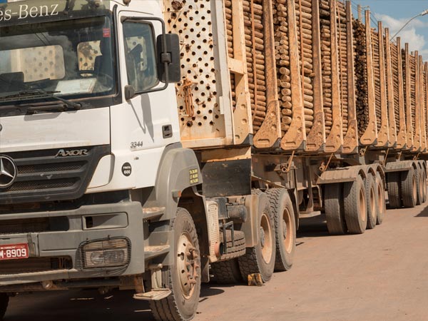 Logística de entrega de mourões de eucalipto selecionados e tratados